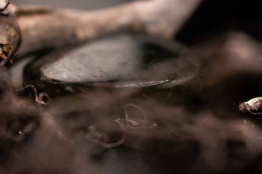 Mavi-yeşil yanardönerli parlak labradorit, sarmaşıklarla çevrili, koyu bir yüzeyde bulunur. Parlak taş ve organik dokuların karışımı dingin, dünyevi ve durgun bir hayat yaratır.