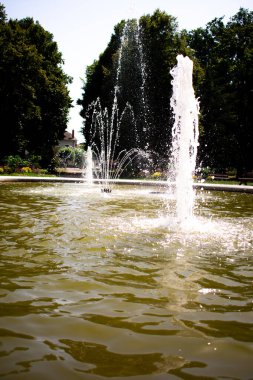 Şehir parkı fıskiyesi, yeşil ağaçlar ve banklarla çevrili olan suyu havaya püskürtüyor. Güneş ışığı sudan yansıyarak hareketli ve huzurlu bir şehir manzarası yaratır.