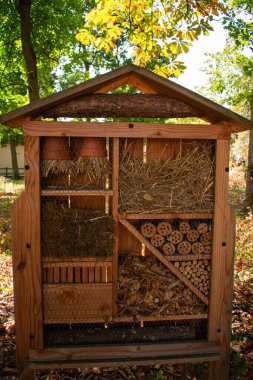 Ağaçların altında saman, kütük, dal ve terasotta saksıları olan tahta böcek oteli. Arıları, uğur böceklerini ve diğer yararlı böcekleri bir bahçe ortamında barındırmak için tasarlandı.