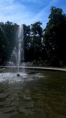 Serinletici fıskiye jeti mavi gökyüzüne ve yeşil ağaçlara karşı yükseliyor, güneş ışığında dalgalanmalar ve su yüzeyine sıçramalarla parıldıyor. Yaz doğası arka planı.