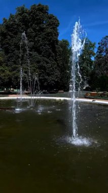 Serinletici fıskiye jeti mavi gökyüzüne ve yeşil ağaçlara karşı yükseliyor, güneş ışığında dalgalanmalar ve su yüzeyine sıçramalarla parıldıyor. Yaz doğası arka planı.