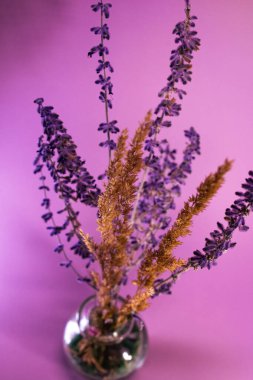 Eflatun ve buğday sapları mor bir zemin üzerinde berrak bir cam vazoda, doğal renkler ve dokularla basit ama zarif bir çiçek kompozisyonu oluşturur..