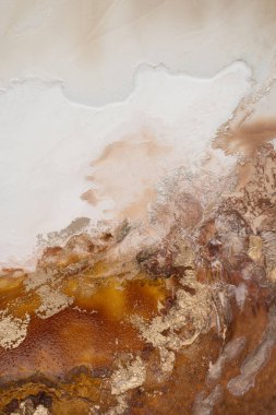 Lüks el boyası suluboya arka plan. Zarif alkol mürekkebi baskısı. Minimalist altın folyolu zarif bir zemin. Soyut doku çizimleri. Modern akrilik sıcak kahverengi iç çizimler.