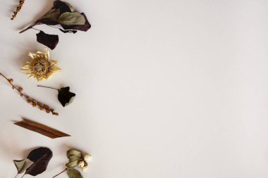 Solmuş çiçeklerin modern çerçeve yapısı, bitkiler uzayı kopyalıyor. Yumuşak renklerde kurumuş bitkilerin narin tasarımı. Şık bir çiçek kartı, düğün davetiyesi. Estetik botanik posteri. Üst manzara, düz uzanma.