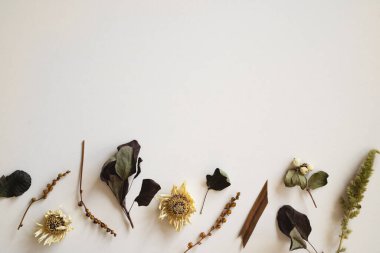 Solmuş çiçeklerin modern çerçeve yapısı, bitkiler uzayı kopyalıyor. Yumuşak renklerde kurumuş bitkilerin narin tasarımı. Şık bir çiçek kartı, düğün davetiyesi. Estetik botanik posteri. Üst manzara, düz uzanma.