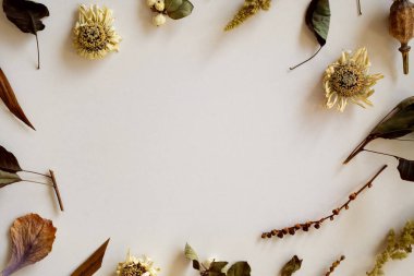 Solmuş çiçeklerin modern çerçeve yapısı, bitkiler uzayı kopyalıyor. Yumuşak renklerde kurumuş bitkilerin narin tasarımı. Şık bir çiçek kartı, düğün davetiyesi. Estetik botanik posteri. Üst manzara, düz uzanma.