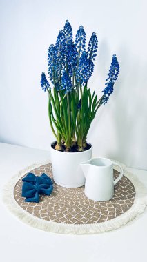 Beyaz bir tencerede beyaz bir sürahi ile muscari. Her şey püsküllü, yuvarlak bir halıya konur. Aksesuarlar - mavi fiyonklar - yakınlarda serilmiştir. Hafif arkaplan ve yumuşak doğal ışıklandırma.