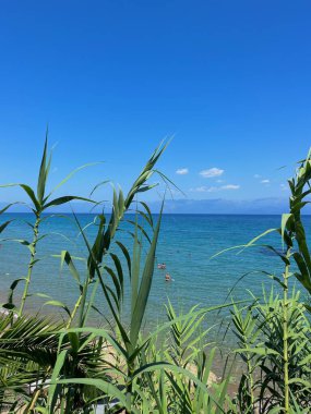 Oceanview Yunanistan-Girit, güzel Gökyüzü. Berrak mavi suyu ve yeşilliği olan bir tatil cenneti. Huzurlu bir doğa. Yüksek kalite fotoğraf. 