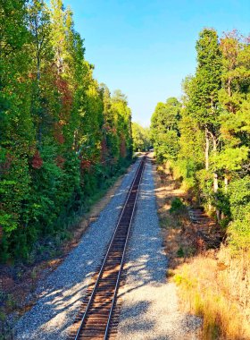 Ormandaki tren yolu..