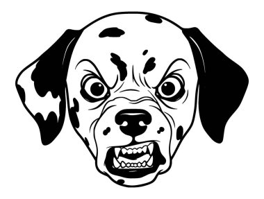 Kızgın yüz ifadeleriyle Siyah ve Beyaz Dalmaçyalı köpek suratlı vektör.. 