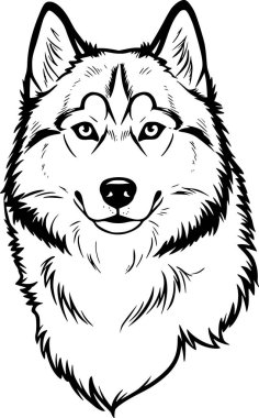Husky portresi, vektör illüstrasyonu