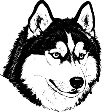 Beyaz arka planda izole edilmiş köpek kafasının vektör çizimi
