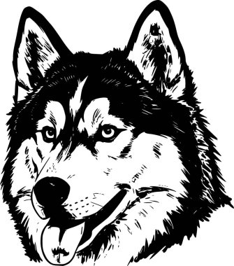Siyah köpek kafası. vektör illüstrasyonu