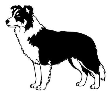 Siyah çizgili öfkeli bir Alman çoban köpeği / kurt / köpek tasviri..