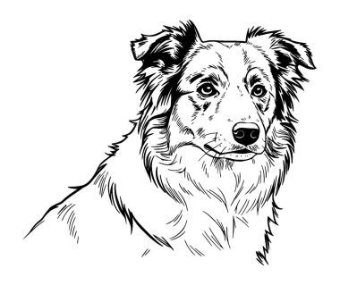 Siyah çizgili öfkeli bir Alman çoban köpeği / kurt / köpek tasviri..