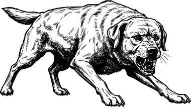 Havlayan Labrador Retriever köpeğinin siyah beyaz temsili.