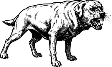 Siyah ve beyaz vektör öfkeli Labrador Retriever köpek çizimi