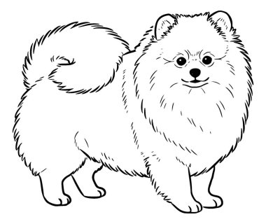 Köpeğin vektör çizimi