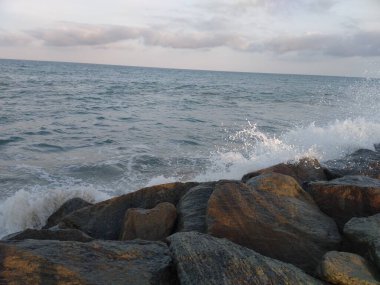 Dalgalar sahile çarpıyor.