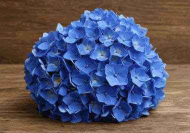 Ahşap masa arkasında ortanca çiçeği