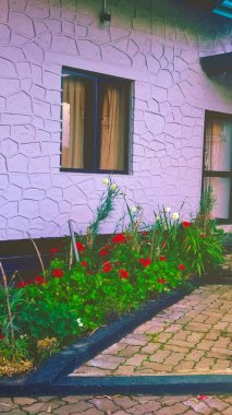 Çiçekli çekici bir ev bahçesi.