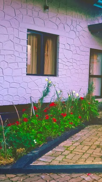 Çiçekli çekici bir ev bahçesi.