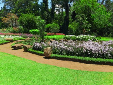 Güzel botanik fotoğrafı, doğal duvar kağıdı.