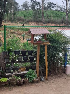 Tahta masa, bir bardak su ve bir bardak şarap.