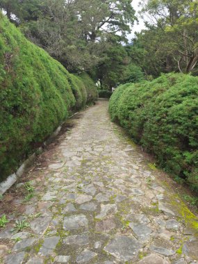 Parkın güzel manzarası