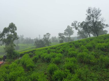 Doğanın güzel manzarası