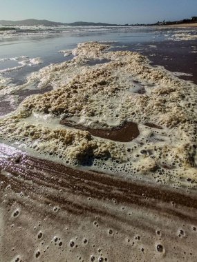 Kumda deniz köpüğü biriken ıssız bir sahilin geniş bir görüntüsü. Güneş ışığı dalgaların doğal dokularını ve nazik hareketlerini vurgular, sakin ve düşünceli bir atmosfer yaratır..