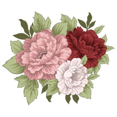 Vektör el çizimi yaz çiçekli şakayıklar ve yapraklar