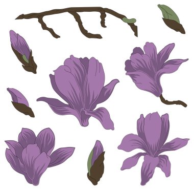 Vektör el çizimi Sakura çiçekleri 