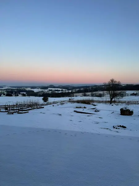 Kış sabahında üç silahşör