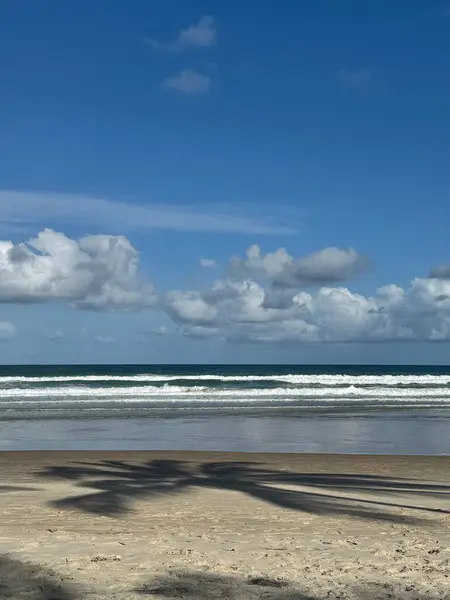 Deniz kıyısının güzel manzarası