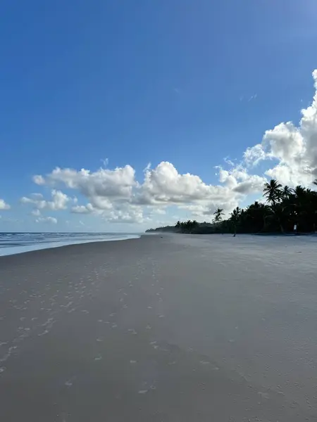 Mavi gökyüzü, beyaz kumlu tropik plaj
