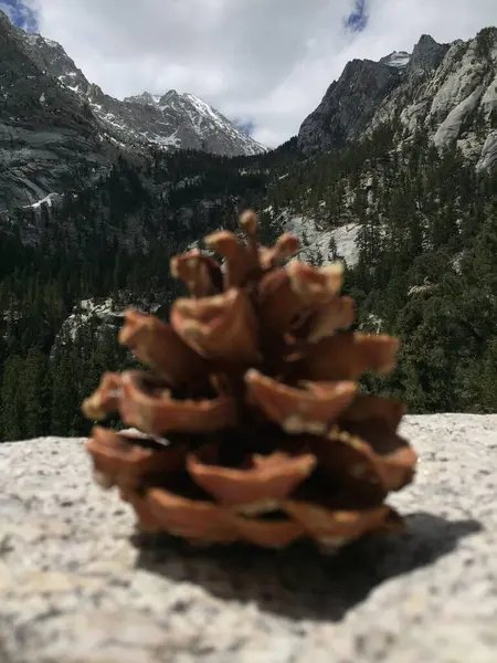 Dağlı güzel bir manzara.