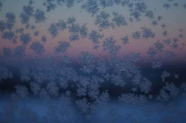 Kış Fısıltısı: Şafakta Narin Buz Örnekleri