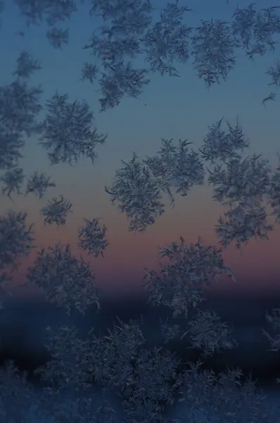 Kış Fısıltısı: Şafakta Narin Buz Örnekleri