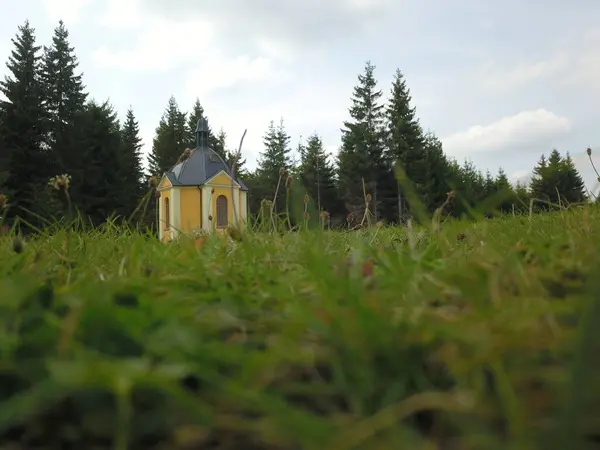 Ormandaki eski kilise.