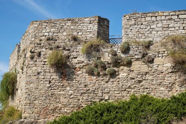 Antik şatonun taş duvarı. Çimen çalılarıyla kaplıdır..