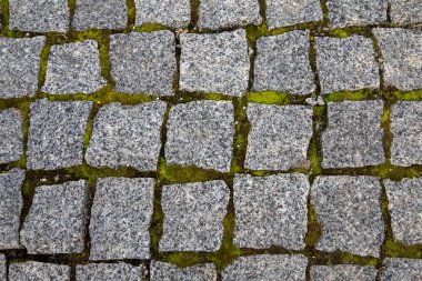 Gri taştan yapılmış bir yol. Yeşil yosun çatlaklarda. Arkaplan.