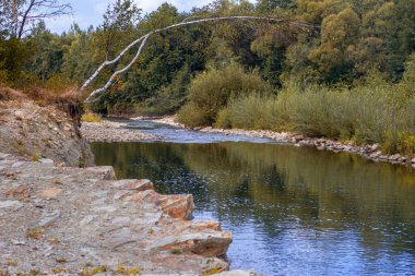 Eğik bir ağacı olan bir dağ nehri manzarası. Yatay çekim.