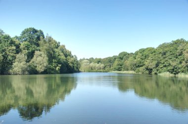Berrak mavi gökyüzünün altında yemyeşil ağaçlarla çevrili huzurlu bir gölet. Durgun su, güneşli bir günde sakin ve sakin bir doğal manzara yaratan yeşilliği mükemmel bir şekilde yansıtır..