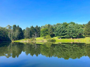 Durgun yeşil ağaçların ve mavi gökyüzünün yansımaları.