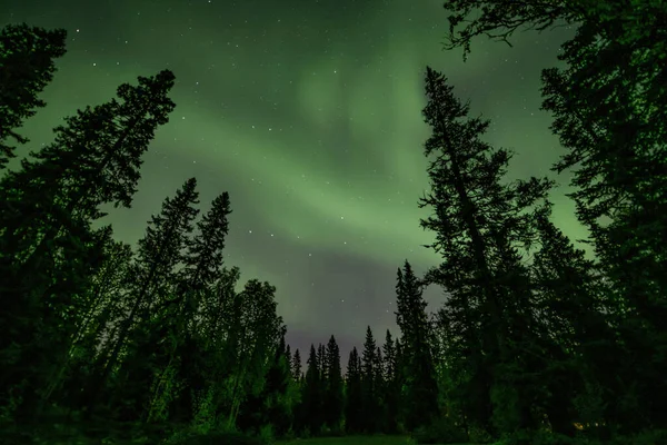 瑞典北部 斯堪的纳维亚 Tannfforsen瀑布 明亮的绿色极光闪烁着瑞典雾蒙蒙的森林景观 — 图库照片