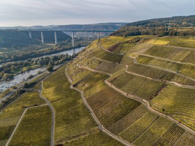 Hava manzaralı ünlü Alman Şarap Bölgesi Moselle Nehri Yatağı ve Guels Köyü Sonbahar Sonbahar Renkleri.