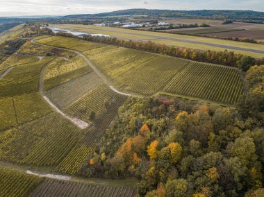 Hava manzaralı ünlü Alman Şarap Bölgesi Moselle Nehri Yatağı ve Guels Köyü Sonbahar Sonbahar Renkleri.