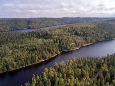 Dalsland İsveç 'te Ragnerudssjoen Gölü' nde Kano Teknesi turu yapan çift için hava görüntüleri. Güzel doğa çam ağaçları..