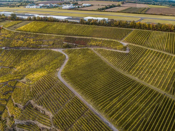 Flygfoto Berömd Tysk Vinregion Mosel River Lay Guels Byn Hösten — Stockfoto